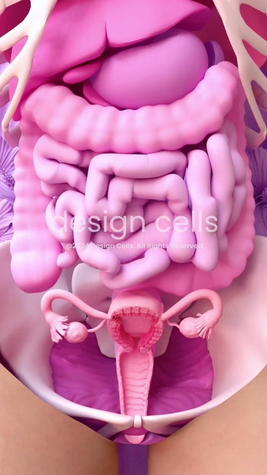 Post 7 by design.cells on TikTok (video)