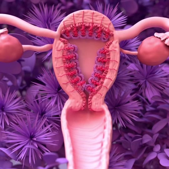 Post 9 by design.cells on TikTok (video)