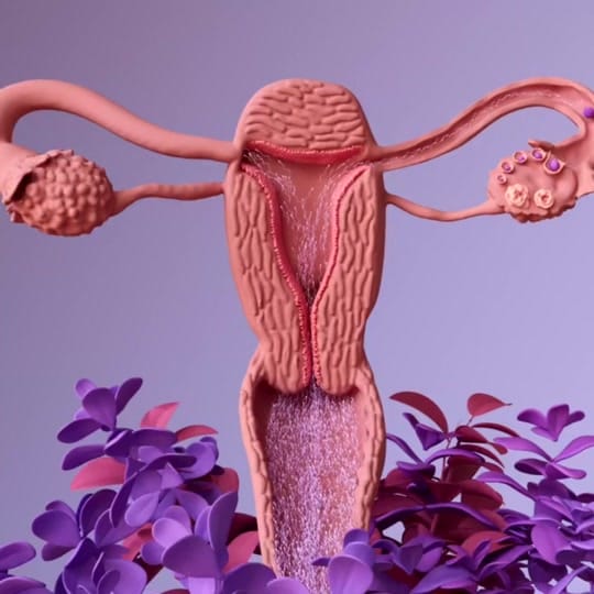 Post 10 by design.cells on TikTok (video)