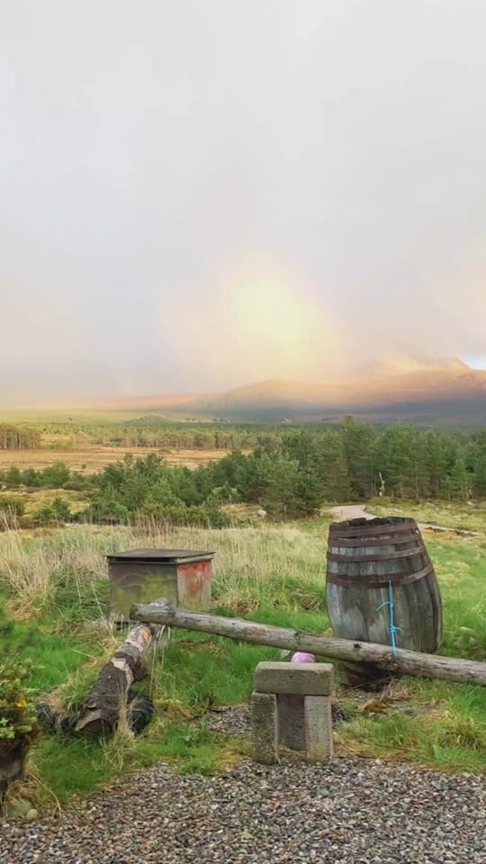 Post 5 by Seasalt Witch Scotland on TikTok (video)