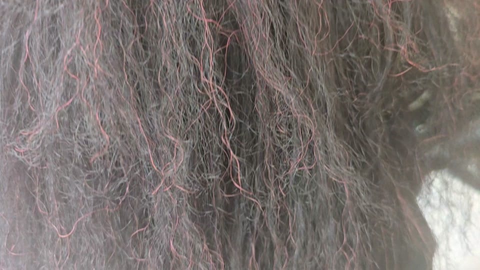 Post 1 by michael styles hayyy on TikTok (video)