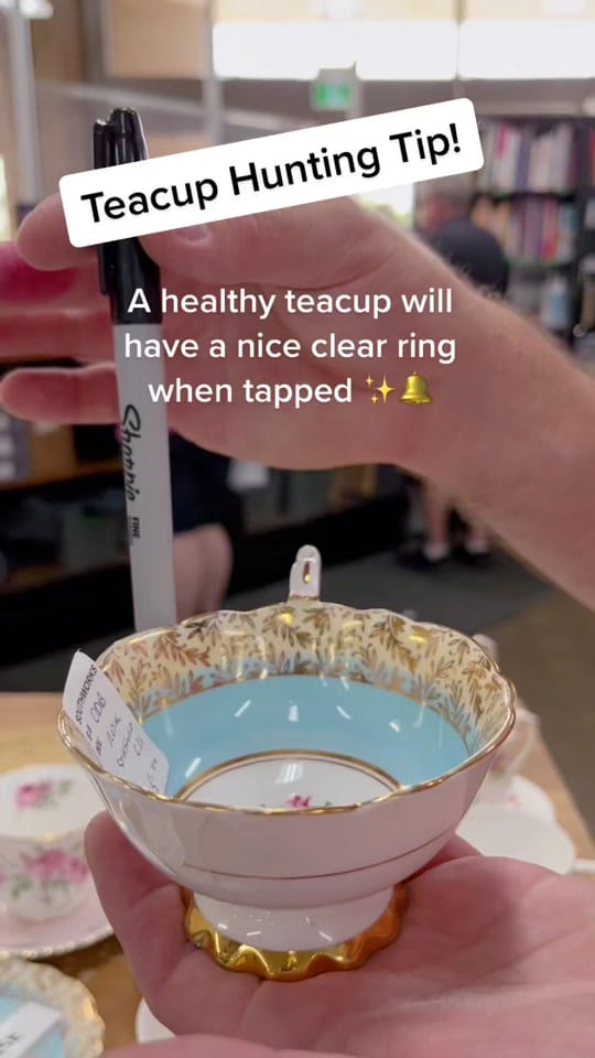 Post 10 by Kitten and the Bear on TikTok (video)