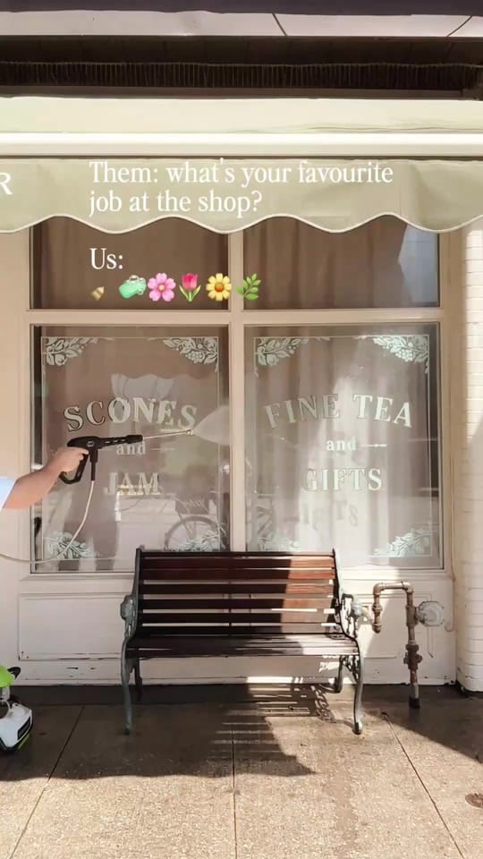 Post 4 by Kitten and the Bear on TikTok (video)
