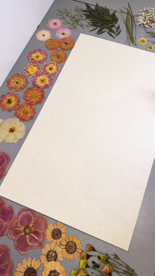 Post 7 by Pressed Petals by Emily on TikTok (video)