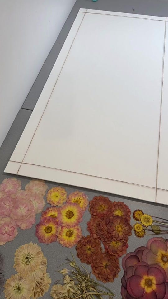 Post 6 by Pressed Petals by Emily on TikTok (video)