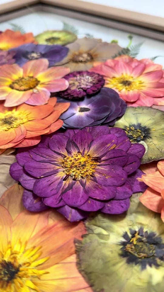 Post 3 by Pressed Petals by Emily on TikTok (video)