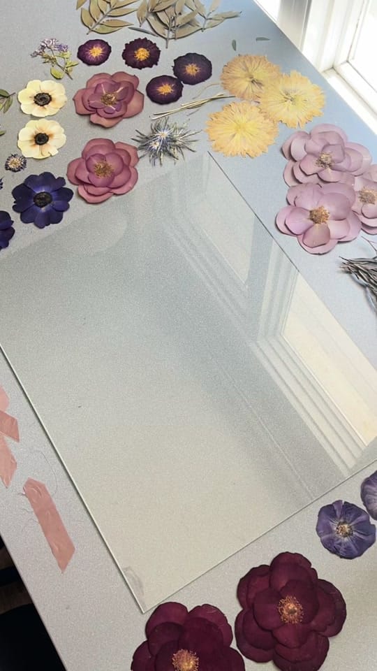 Post 9 by Pressed Petals by Emily on TikTok (video)