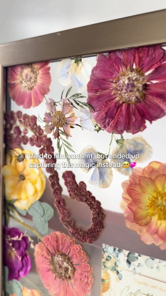 Post 5 by Pressed Petals by Emily on TikTok (video)