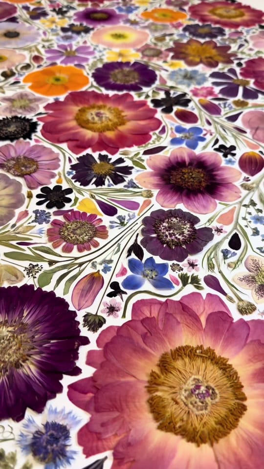 Post 2 by Pressed Petals by Emily on TikTok (video)
