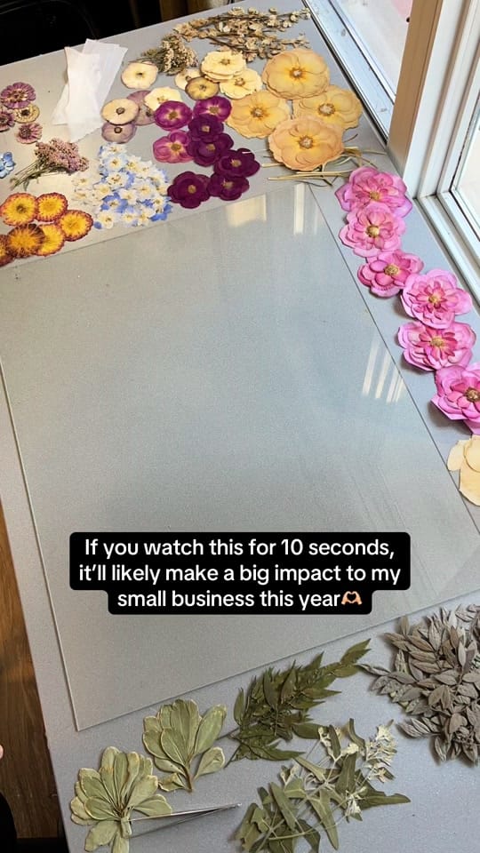 Post 10 by Pressed Petals by Emily on TikTok (video)