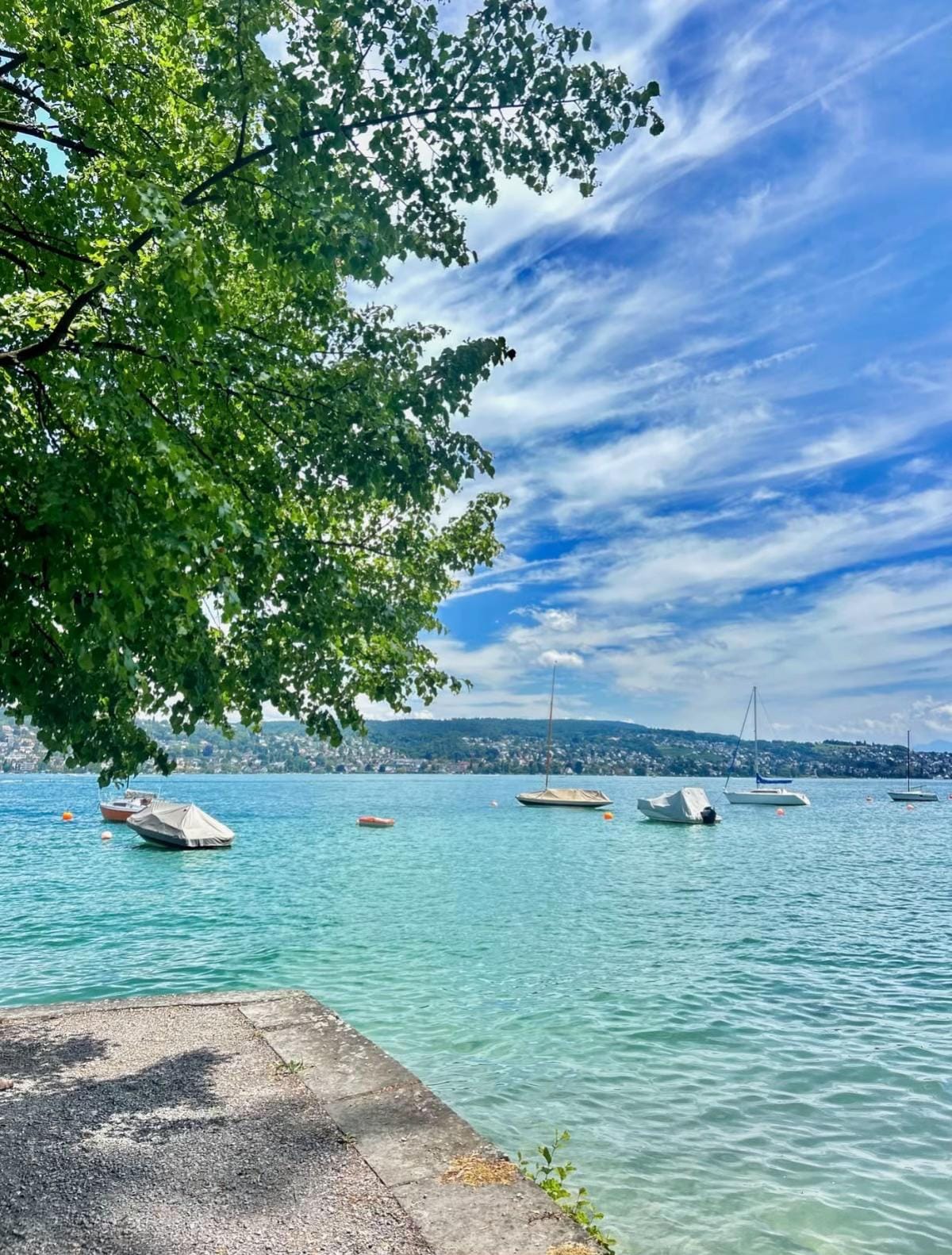 Post 4 by randysavage6699 on TikTok (video)