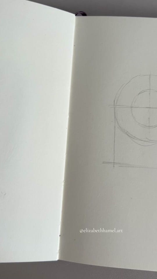 Post 7 by elizabeth hamel on TikTok (video)