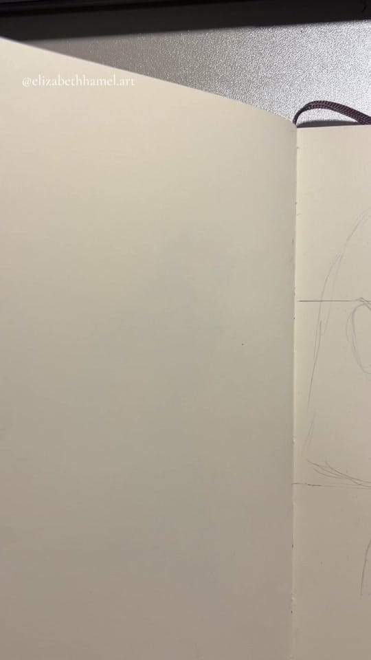 Post 10 by elizabeth hamel on TikTok (video)