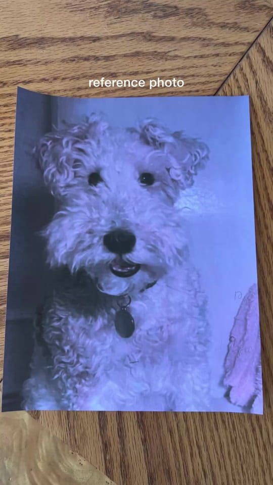 Post 1 by elizabeth hamel on TikTok (video)