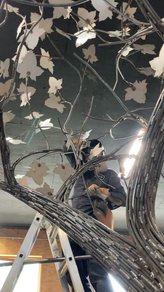 Post 7 by ivaniler on TikTok (video)