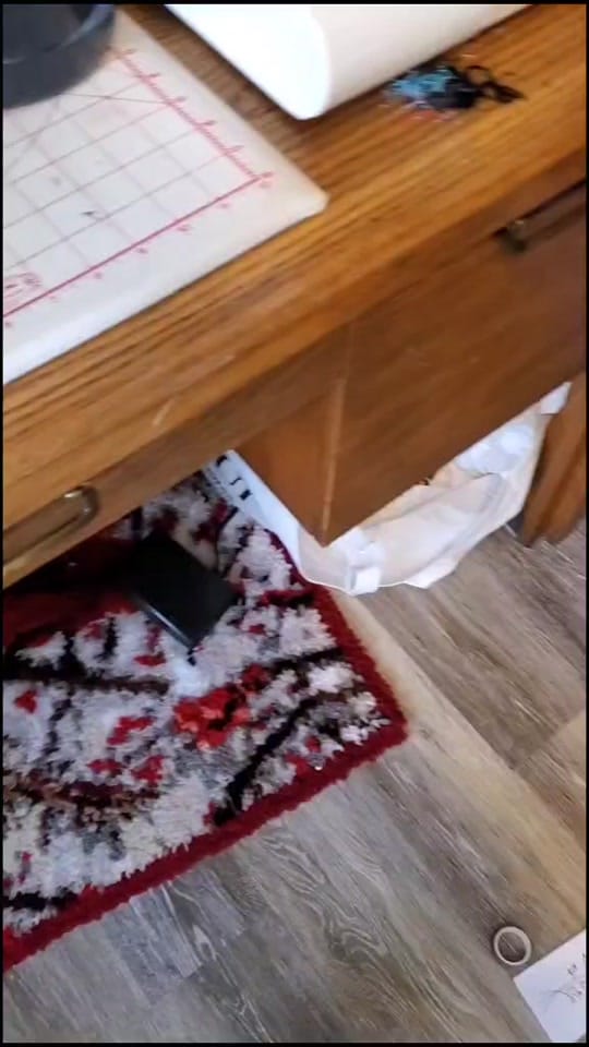 Post 9 by ForgetMeNotIntimates on TikTok (video)