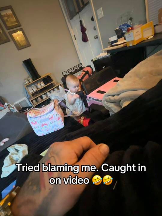 Post 3 by NickLaporte on TikTok (video)