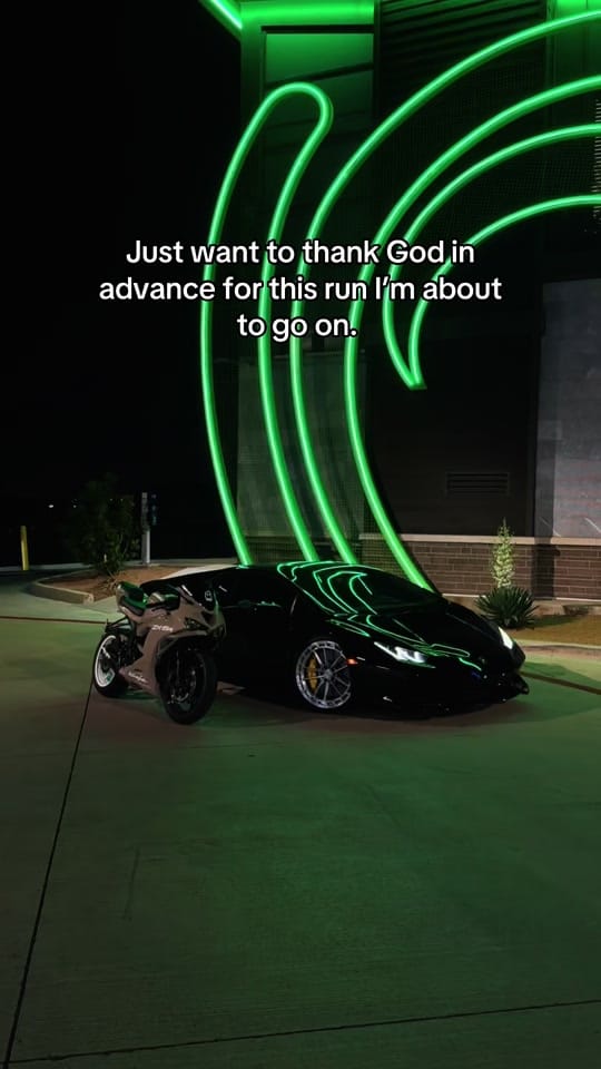 Post 7 by hartlessexotics on TikTok (video)