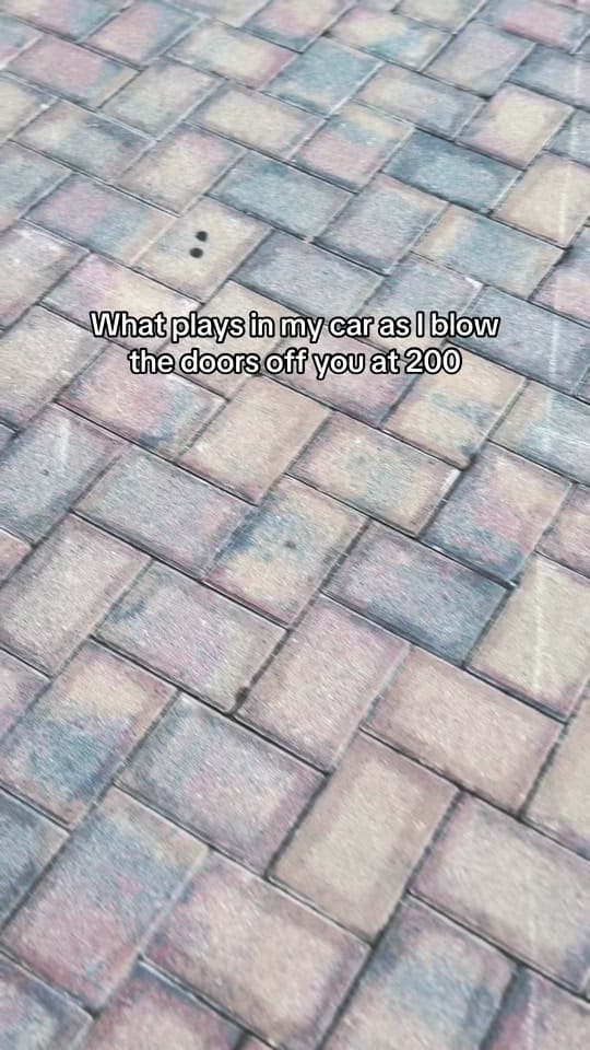 Post 3 by hartlessexotics on TikTok (video)