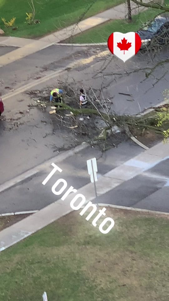 Post 9 by 🇨🇦painterocanada🇨🇦 on TikTok (video)