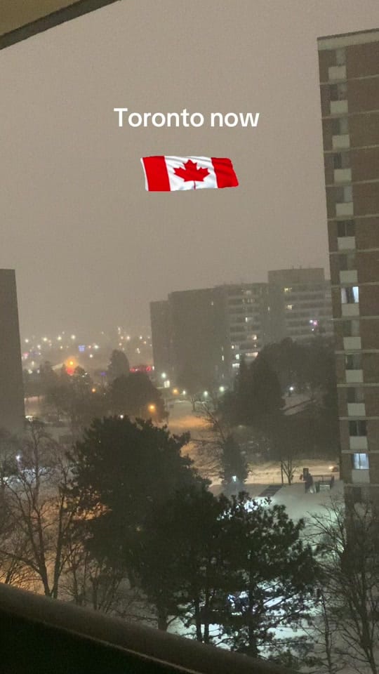 Post 10 by 🇨🇦painterocanada🇨🇦 on TikTok (video)