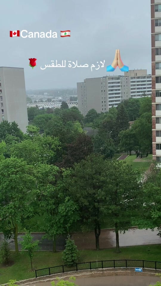 Post 2 by 🇨🇦painterocanada🇨🇦 on TikTok (video)