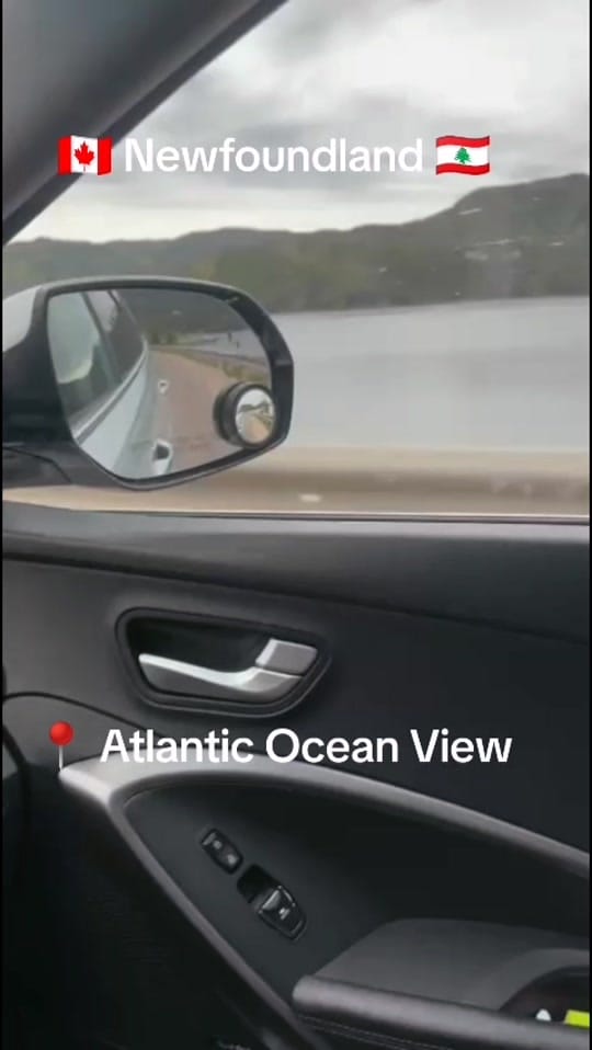 Post 1 by 🇨🇦painterocanada🇨🇦 on TikTok (video)