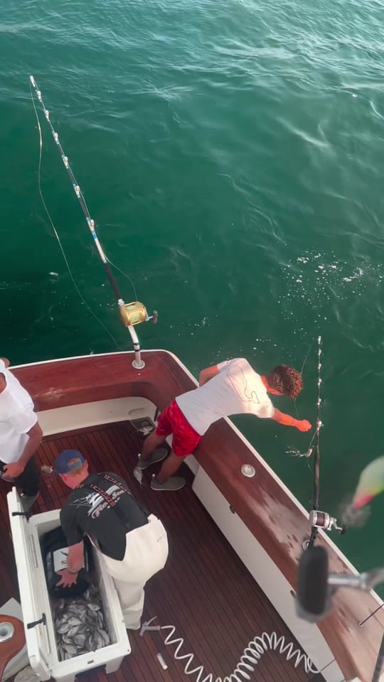 Post 9 by ONYX CHARTERS / RENTALS on TikTok (video)