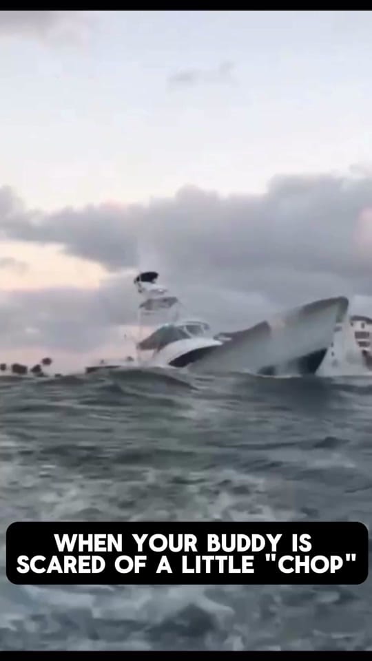 Post 6 by ONYX CHARTERS / RENTALS on TikTok (video)