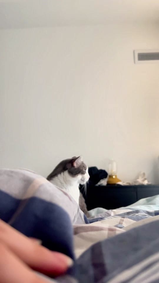 Post 9 by Jiingie on TikTok (video)