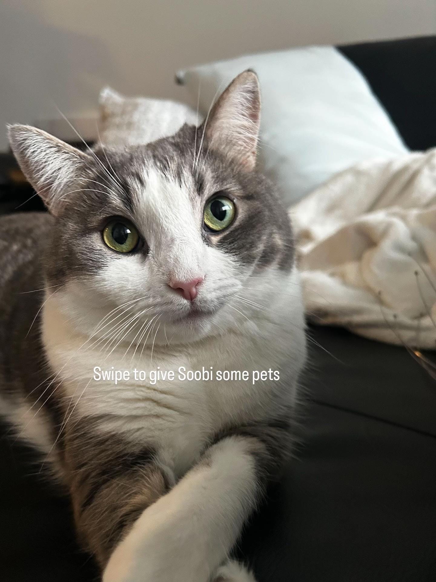 Post 7 by Jiingie on TikTok (video)