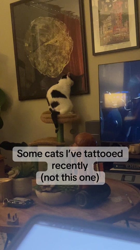 Post 7 by Devon Grace on TikTok (video)