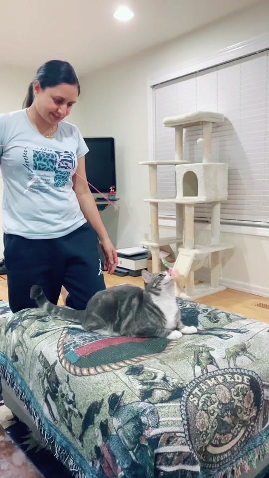 Post 1 by SammyDhaliwal on TikTok (video)