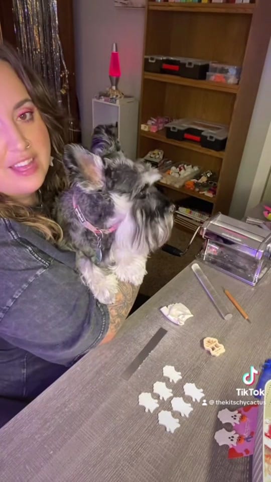 Post 8 by The Kitschy Cactus on TikTok (video)