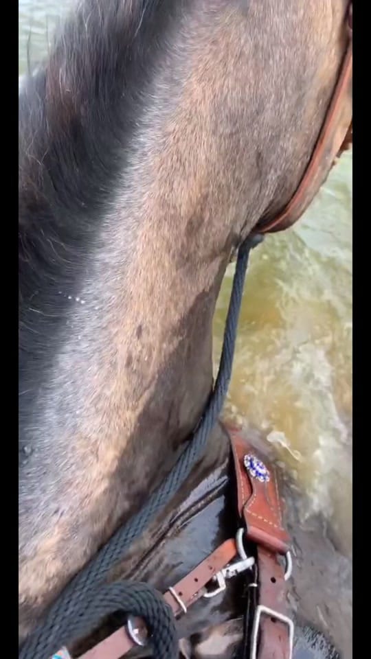 Post 9 by 🩵LittleBlue_250🩵 on TikTok (video)