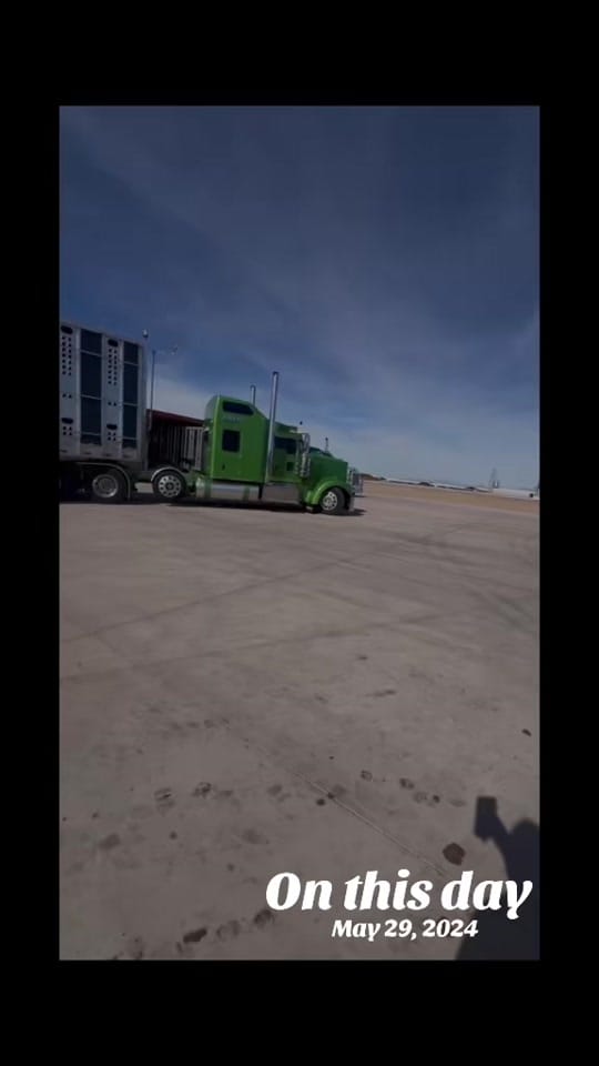 Post 6 by 🩵LittleBlue_250🩵 on TikTok (video)