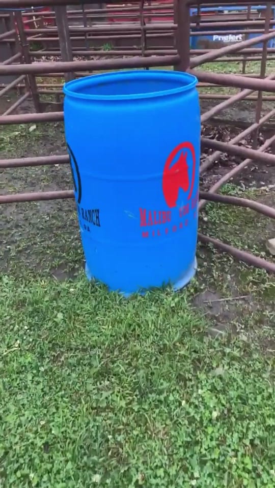 Post 10 by 🩵LittleBlue_250🩵 on TikTok (video)