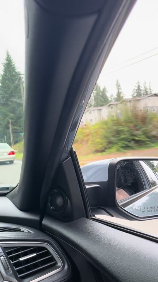 Post 6 by wyattrussell on TikTok (video)