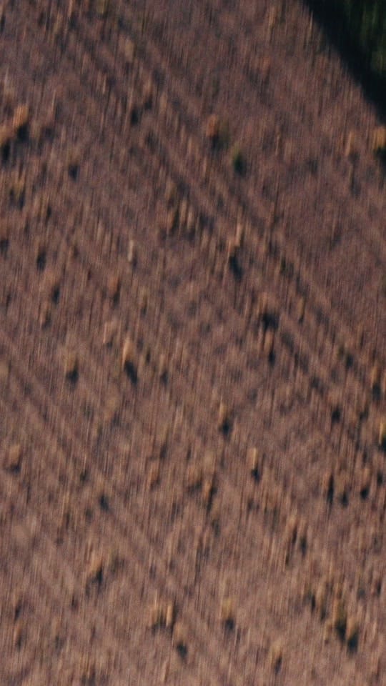 Post 2 by Kaitlyn Rose | Abstract Artist on TikTok (video)