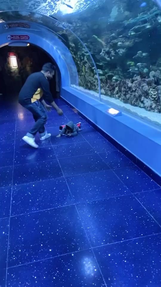 Post 10 by Azif P Asharaf on TikTok (video)