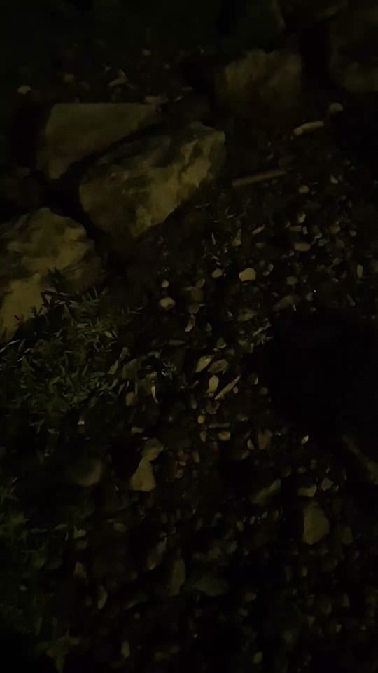 Post 3 by Provoken Thought on TikTok (video)