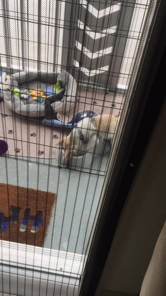 Post 8 by Randy Newman on TikTok (video)