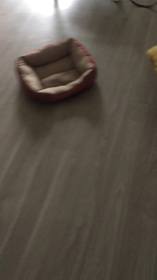 Post 7 by Randy Newman on TikTok (video)