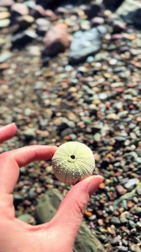 Post 5 by The Fisherman’s Daughters on TikTok (video)