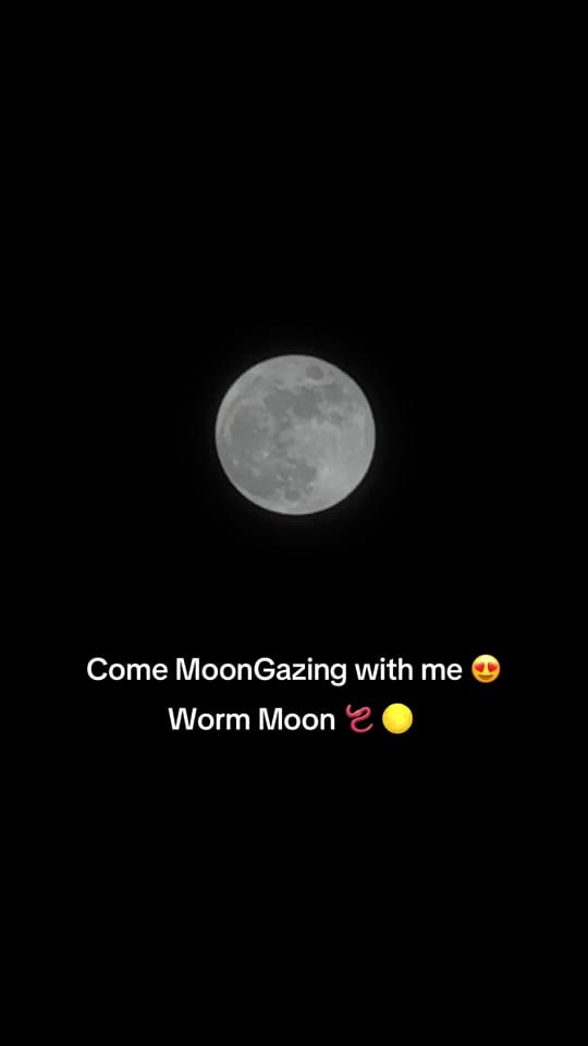 Post 6 by KellyMichelle on TikTok (video)