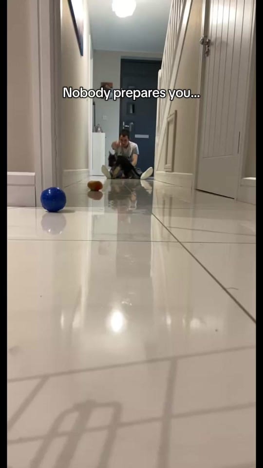 Post 9 by JacobTheGSD🐶❤️ on TikTok (video)