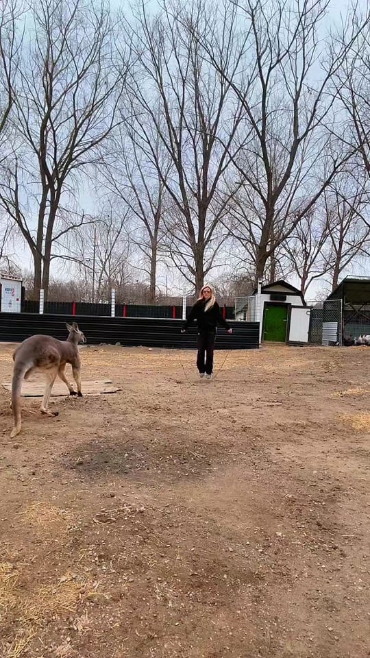 Post 3 by 🩸𝖆𝖓𝖌𝖎𝖊🩸 on TikTok (video)