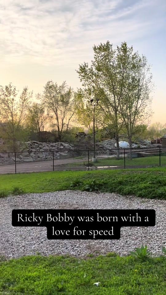 Post 5 by 🩸𝖆𝖓𝖌𝖎𝖊🩸 on TikTok (video)