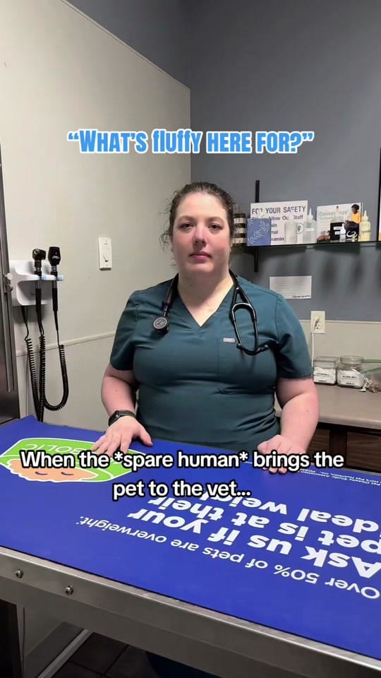 Post 10 by Gause Blvd Vet Hosp on TikTok (video)