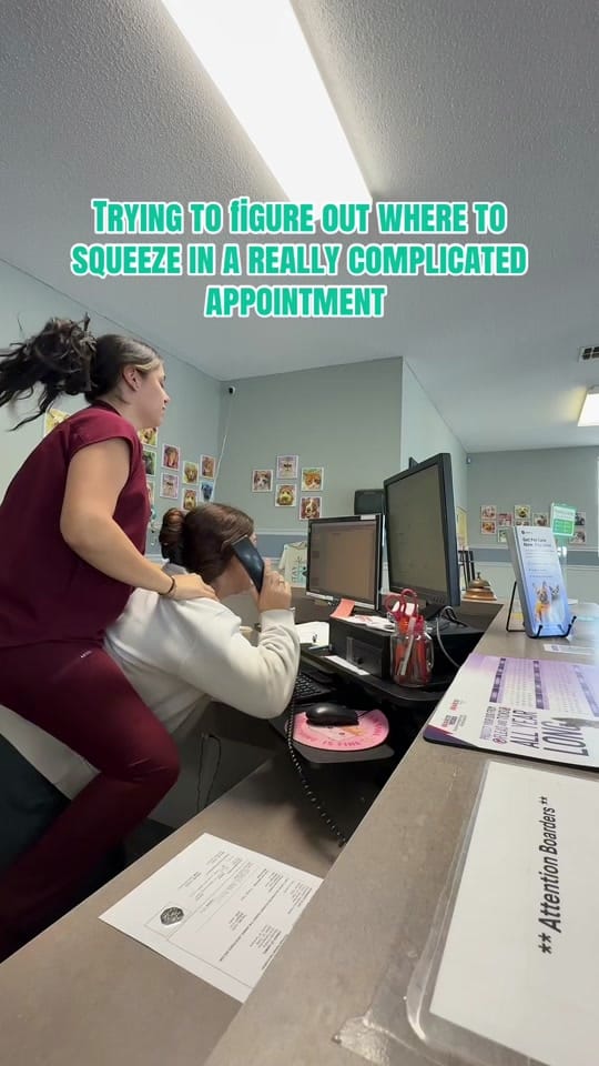 Post 8 by Gause Blvd Vet Hosp on TikTok (video)